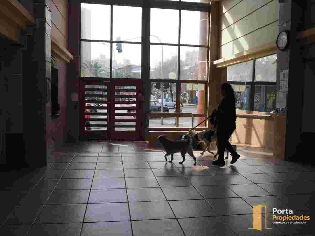 Imagen 29 de San pablo 2002  Comuna Santiago