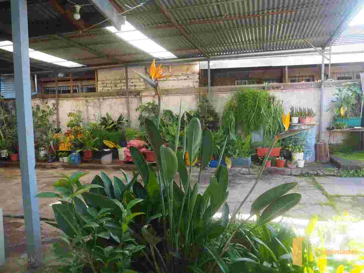 Imagen 3 de Casa Macul  604 m2