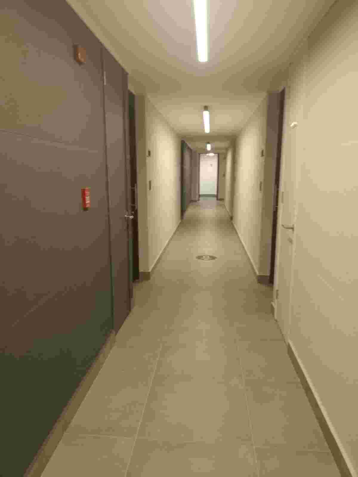 Imagen 7 de Departamento Madreselvas  4519  Macul