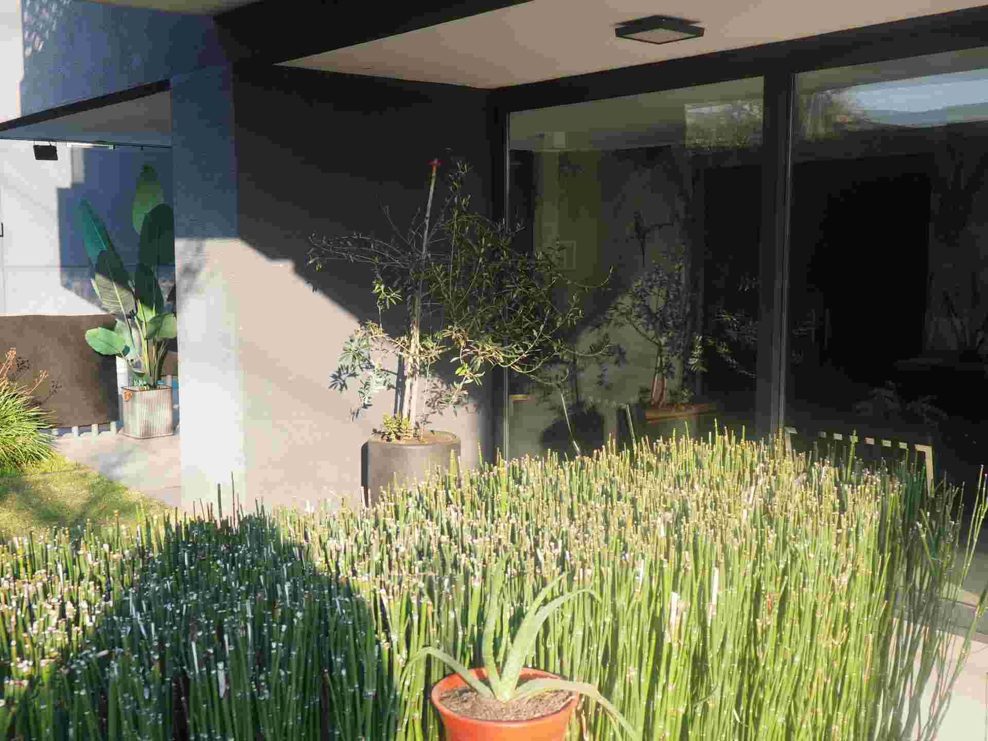 Imagen 40 de Departamento Madreselvas  4519  Macul