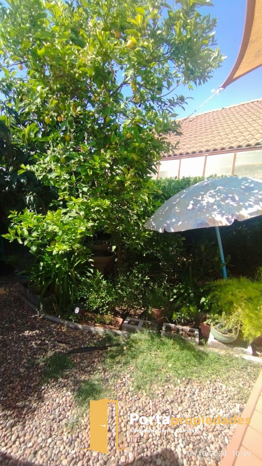 Imagen 9 de Casa Violeta Parra Peñaflor